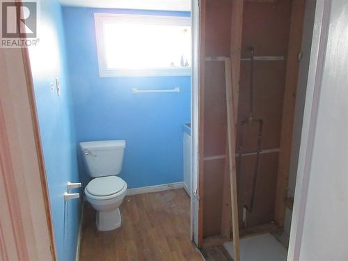 43 Earle Street, Grand Falls Windsor, NL - Indoor Photo Showing Bathroom