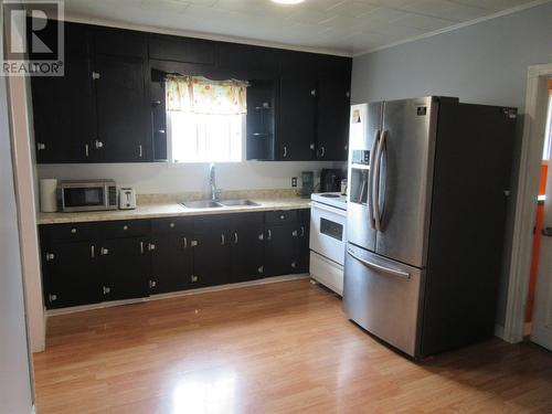 43 Earle Street, Grand Falls Windsor, NL - Indoor Photo Showing Kitchen With Double Sink