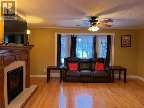 49 Main Highway, Salmon Cove, NL - Indoor Photo Showing Living Room With Fireplace