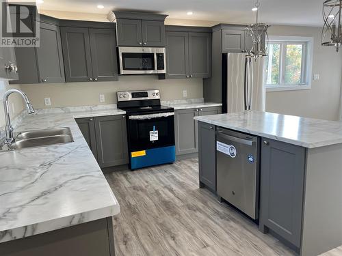 274 Main Street, Springdale, NL - Indoor Photo Showing Kitchen With Double Sink