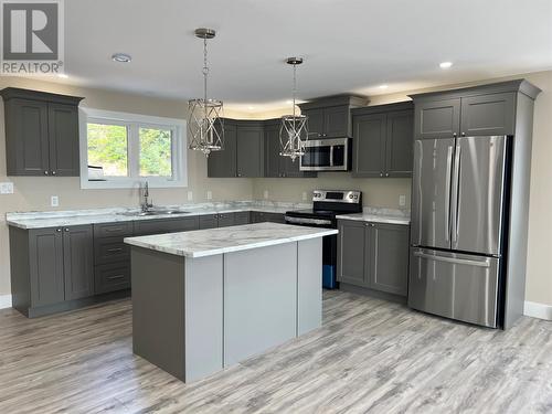 274 Main Street, Springdale, NL - Indoor Photo Showing Kitchen With Upgraded Kitchen