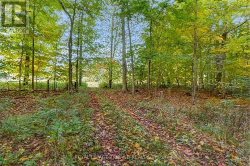 Entrance to the forested area - 4465 Imperial Road, Aylmer, ON - Outdoor With View