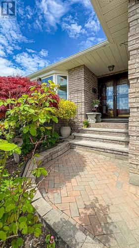 31 Ridley Drive, Hamilton, ON - Outdoor