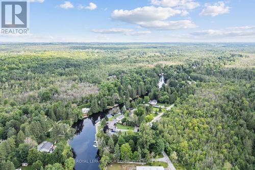 29 Brook Road, Kawartha Lakes (Fenelon Falls), ON - Outdoor With View