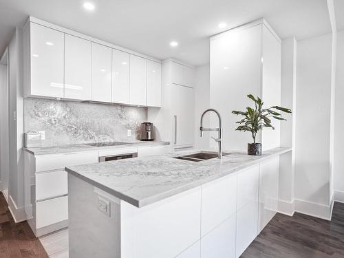 Kitchen - 310-1025 Rue De La Commune E., Montréal (Ville-Marie), QC - Indoor Photo Showing Kitchen With Double Sink With Upgraded Kitchen