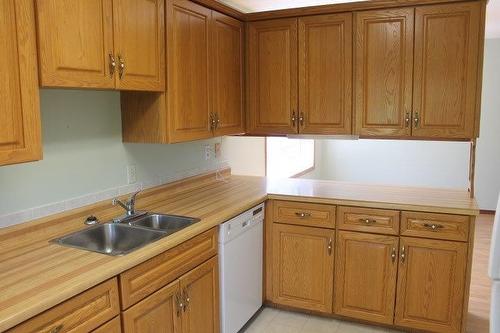 389 College Street, Thunder Bay, ON - Indoor Photo Showing Kitchen With Double Sink