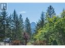 14 Saddleback Road, Lumby, BC  - Outdoor 