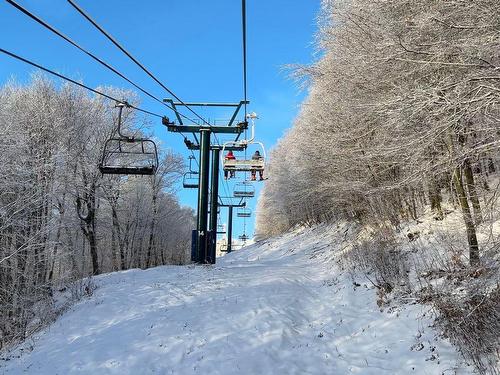 Autre - 482-211 Ch. De Lac-Tremblant-Nord, Mont-Tremblant, QC - Outdoor