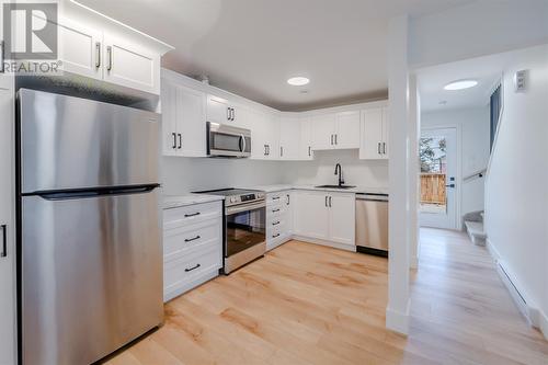 20 Anderson Avenue, St. John'S, NL - Indoor Photo Showing Kitchen With Upgraded Kitchen