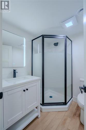 20 Anderson Avenue, St. John'S, NL - Indoor Photo Showing Bathroom