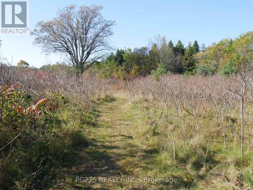 396 King Street W, Ingersoll, ON - Outdoor With View