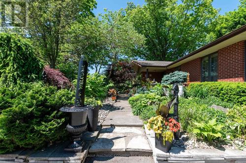 877 Riverside Drive, London, ON - Outdoor