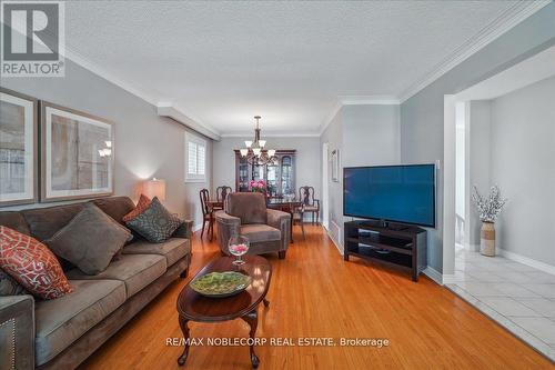 7750 Netherwood Road, Mississauga (Malton), ON - Indoor Photo Showing Living Room