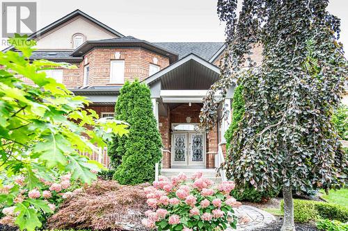 15 Birchbark Court, Richmond Hill (Jefferson), ON - Outdoor