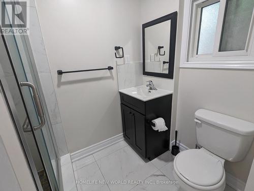 212 Elm Avenue, Georgina (Keswick South), ON - Indoor Photo Showing Bathroom