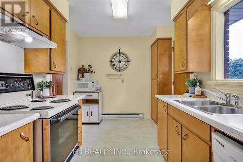 28 Bond Street E, Kawartha Lakes (Fenelon Falls), ON - Indoor Photo Showing Kitchen With Double Sink