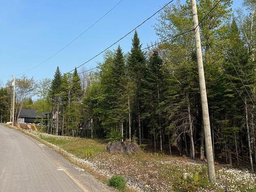 Terre/Terrain - Prom. Des Cervidés, Morin-Heights, QC 