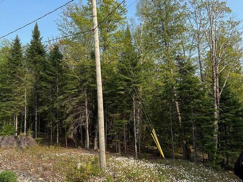 Terre/Terrain - Prom. Des Cervidés, Morin-Heights, QC 