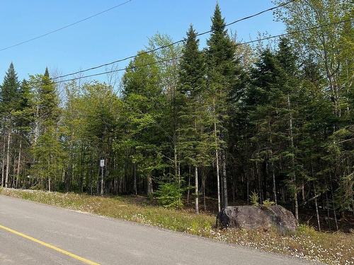 Terre/Terrain - Prom. Des Cervidés, Morin-Heights, QC 