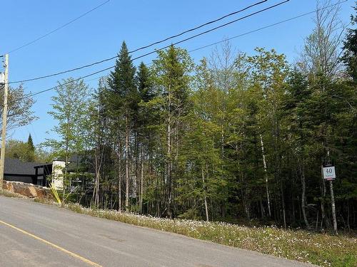 Terre/Terrain - Prom. Des Cervidés, Morin-Heights, QC 