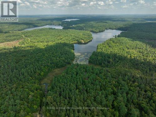 1812 Norway Lake Lane, North Frontenac, ON - Outdoor With View