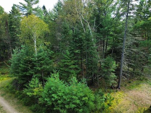 Aerial photo - Ch. Du Loup, Harrington, QC 