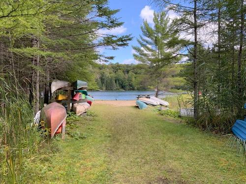 Ch. Du Loup, Harrington, QC 