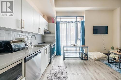 101 - 121 King Street E, Hamilton (Beasley), ON - Indoor Photo Showing Kitchen