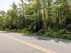 Lot 5 Aylesford Road  Morristown, NS B0P 1C0
