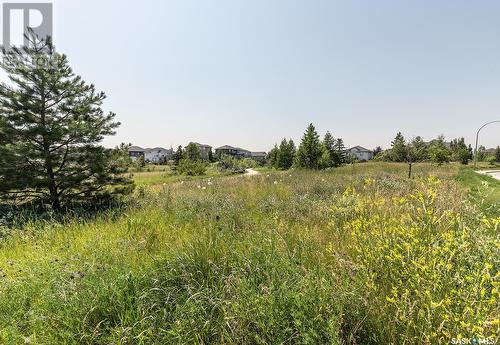 211 Beechdale Court, Saskatoon, SK - Outdoor With View