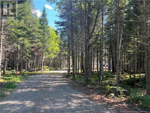 1.25 Hec South Cains Road, Blackville, NB 