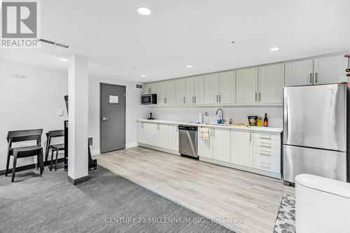 201 - 19 Stumpf Street, Centre Wellington (Elora/Salem), ON - Indoor Photo Showing Kitchen