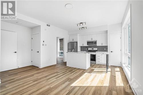 391 Dieppe Street Unit#01, Ottawa, ON - Indoor Photo Showing Kitchen