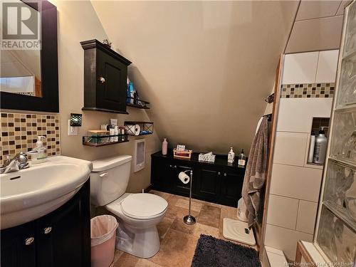 176 Chapel Street, Grand-Sault/Grand Falls, NB - Indoor Photo Showing Bathroom