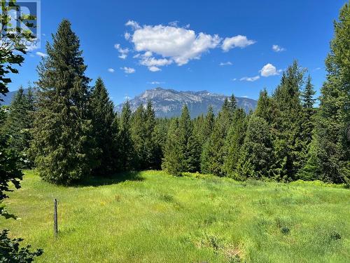 8479 Red Mountain Road, Silverton, BC - Outdoor With View