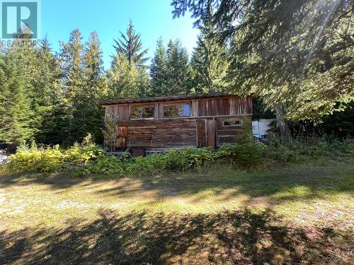 8479 Red Mountain Road, Silverton, BC - Outdoor