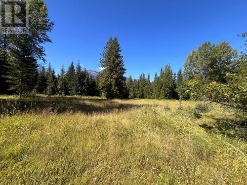 8479 Red Mountain Road, Silverton, BC - Outdoor With View