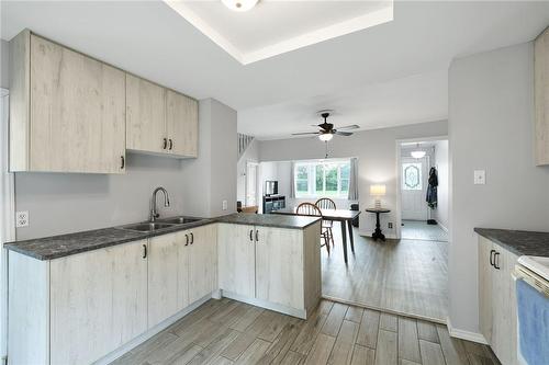 215 Strathearne Avenue, Hamilton, ON - Indoor Photo Showing Kitchen With Double Sink