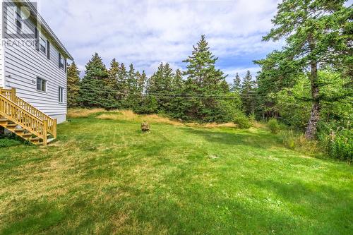 235 Burnt Head Road Loop Road, Cupids, NL - Outdoor