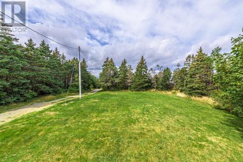 235 Burnt Head Road Loop Road, Cupids, NL - Outdoor With View