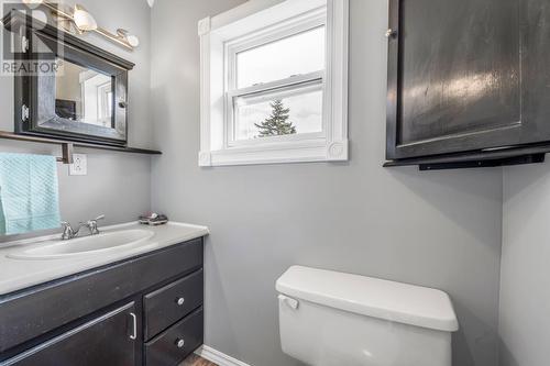 235 Burnt Head Road Loop Road, Cupids, NL - Indoor Photo Showing Bathroom