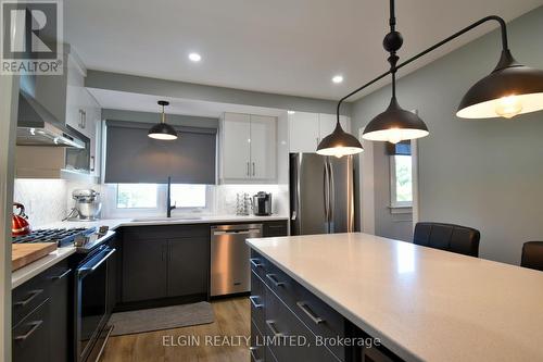 366 Burlington Crescent, London, ON - Indoor Photo Showing Kitchen With Upgraded Kitchen