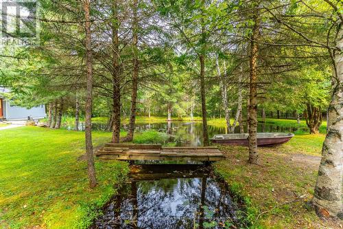 1625 Hunter Creek Road, Minden Hills, ON - Outdoor