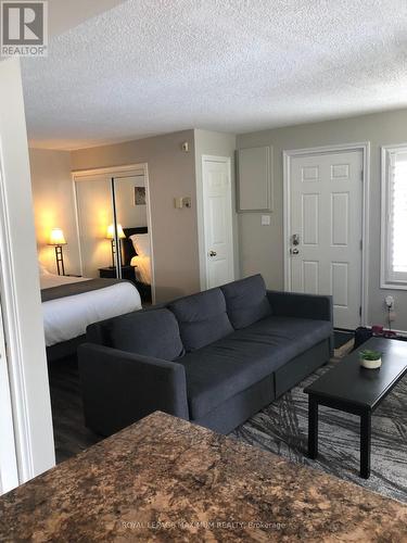 203 - 796468 Grey Road, Blue Mountains, ON - Indoor Photo Showing Living Room