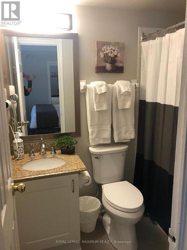 203 - 796468 Grey Road, Blue Mountains, ON - Indoor Photo Showing Bathroom