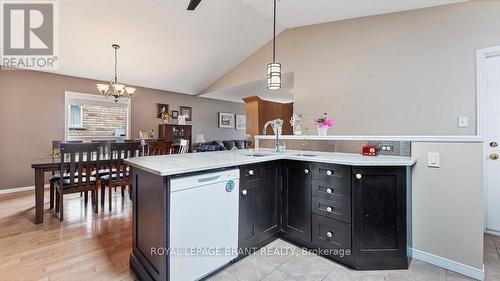 9 Anastasia Crescent, Brantford, ON - Indoor Photo Showing Kitchen