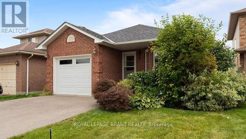 9 Anastasia Crescent, Brantford, ON - Outdoor