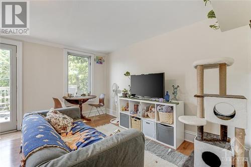 554 Mcleod Street, Ottawa, ON - Indoor Photo Showing Living Room