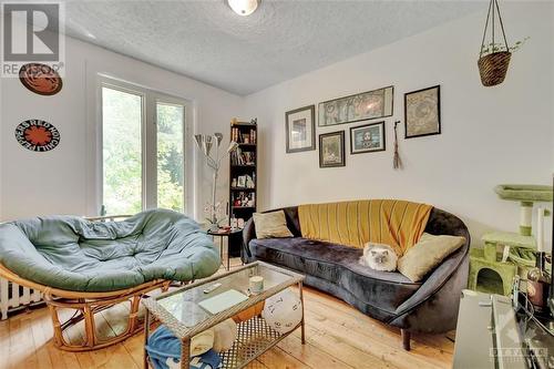 45-47 Heney Street, Ottawa, ON - Indoor Photo Showing Living Room