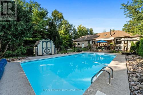 386 Nawautin Drive, Alnwick/Haldimand (Grafton), ON - Outdoor With In Ground Pool With Backyard